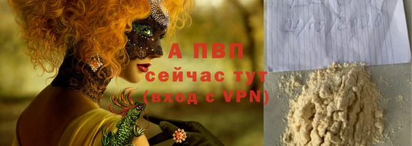 spice Бородино