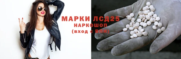 spice Бородино