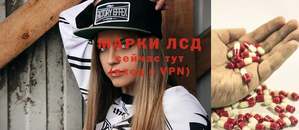 spice Бородино