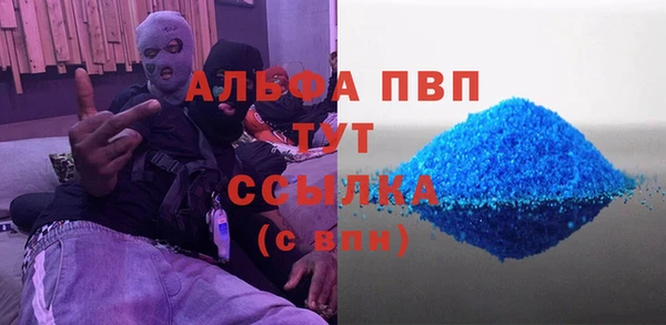 spice Бородино