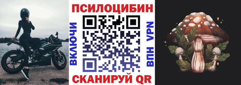 Галлюциногенные грибы Magic Shrooms  цена   Дальнегорск 
