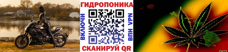 даркнет телеграм  Дальнегорск  Бошки марихуана AK-47 